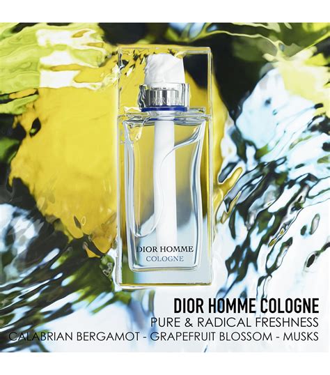 dior homme summer 2002|Dior Homme cologne fragrantica.